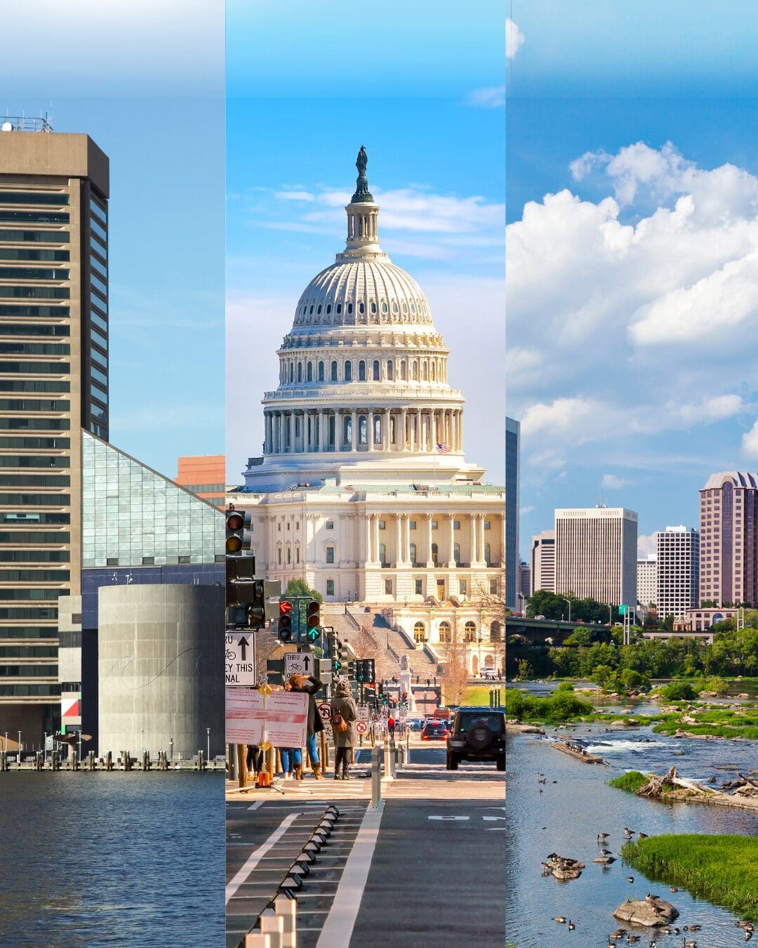 ビジネス・経済 Profiles of Union Growth Region Rising: Shaping Greater Washington's Economy for the Future